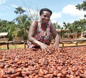 But these cocoa beans represent so much more to the men and women who cultivate them.