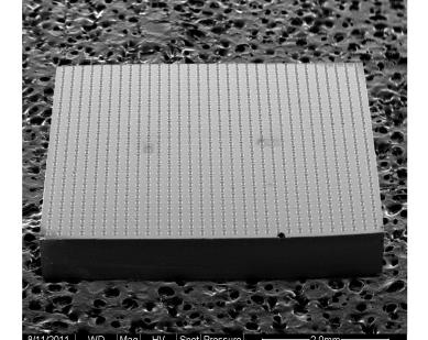 Test Vehicles Die (5x5 mm) Substrate (15.4x15.