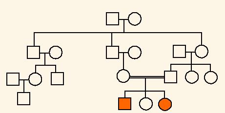 Part II: Pedigree Analysis A pedigree is used by genetic counselors to trace particular traits throughout a family history.