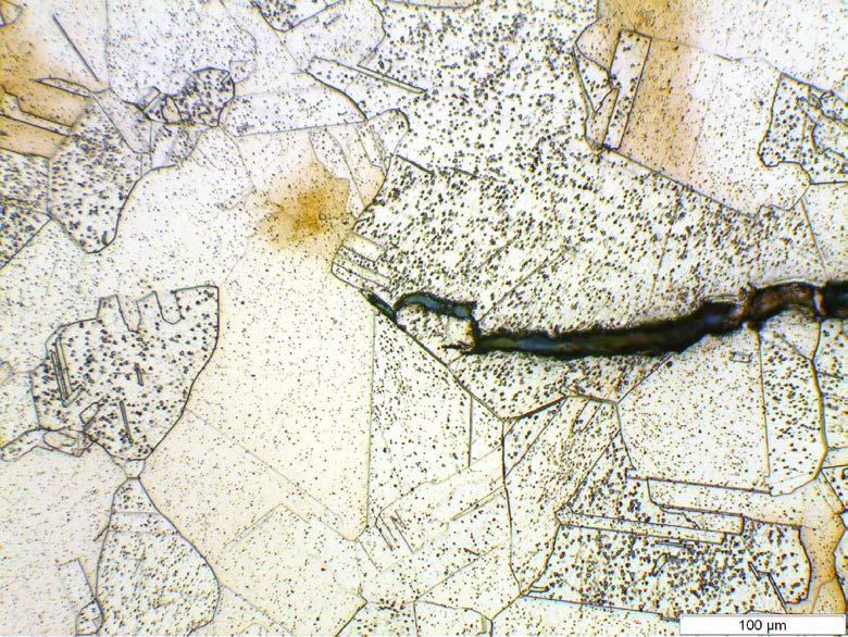 in the region of the fatigue pre-crack, showing regions of higher magnification