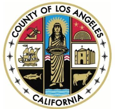 LOS ANGELES COUNTY SHERIFF S DEPARTMENT REQUEST FOR INFORMATION RFI NUMBER