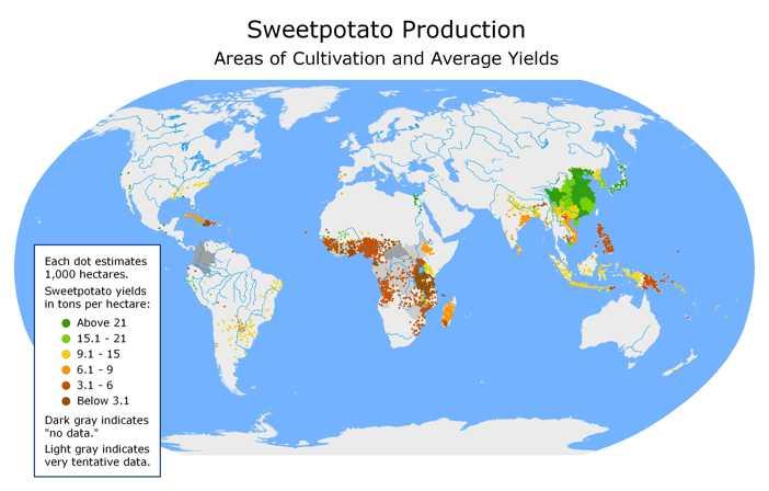 Global Sweetpotato Production (2000 2006) Source: International Potato Center: World