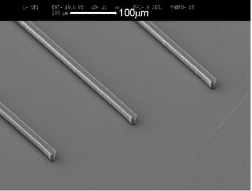 6µm wide, 20µm high duplicated wall (d). Using this technique, features ranging from 10 to 300 µm were successfully replicated.