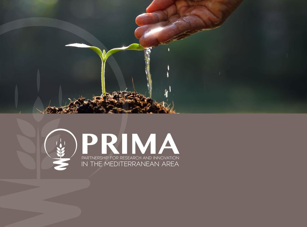 PRIMA Info and networking event 8 November 2017 Angelo Riccaboni Professor of