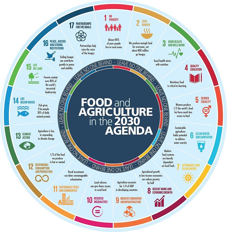 One of the biggest issue in the MED region: Sustainable food systems a. A means and an end towards achieving the SDGs b.