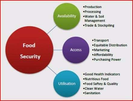 Climate Change affects not only food production but all four dimensions of food security!