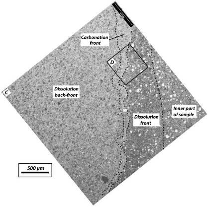 - 9 - Figure 3.4 The carbonation for Portland cement, Barlet-Gouédard et al.