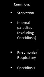 Diseases/disease conditions in