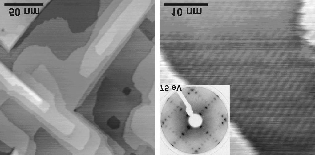 C. Epitaxial Growth 6.8 Magnetic in-plane anisotropy of epitaxially grown Fe-films on vicinal Ag(001) and Au(001) with different miscut orientations M. Rickart, A.R. Frank, J. Jorzick, Ch. Krämer, S.