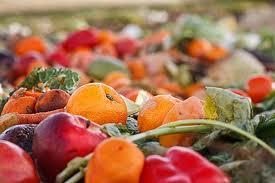 Eco System benefits from repurposing food waste 15 M tons