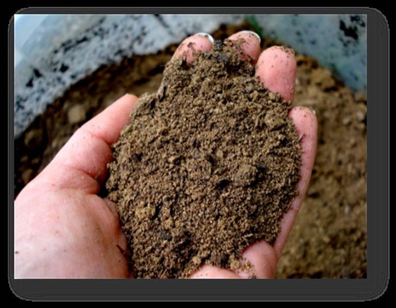 Soil Analysis Soil Testing One manual and one visual soil