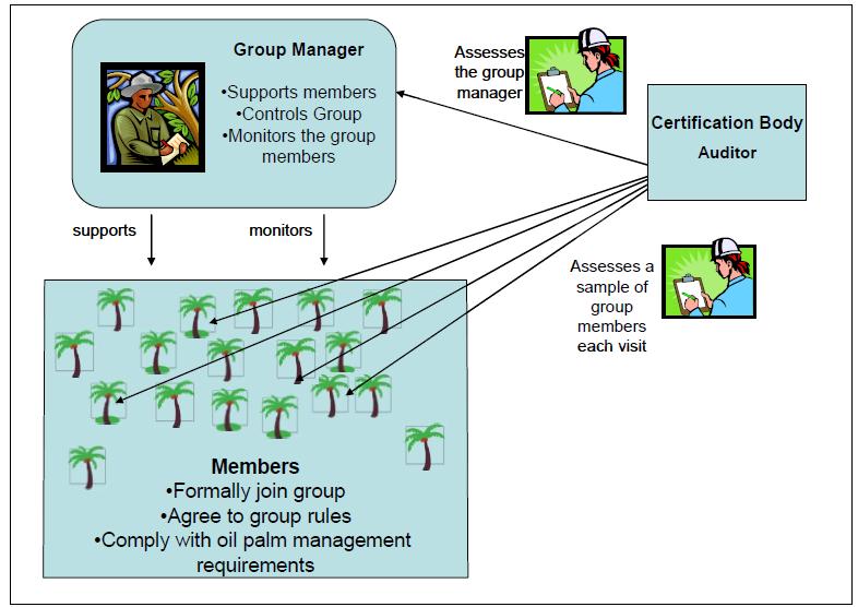 ICS and Smallholder certification Critical documents: NI RSPO P&CSustainable Palm