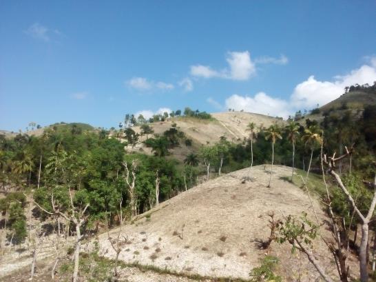 Haiti contexte Desertification is associated in Haiti with land degradation,