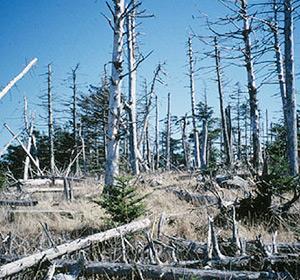 Examples: Adirondack Park located in upstate NY (ph is now 200 times more acidic than