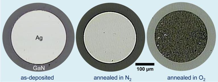 These results indicate that to optimize Ag ohmic contact to n-gan, thermal annealing performed in O 2 gas ambient should be avoided.
