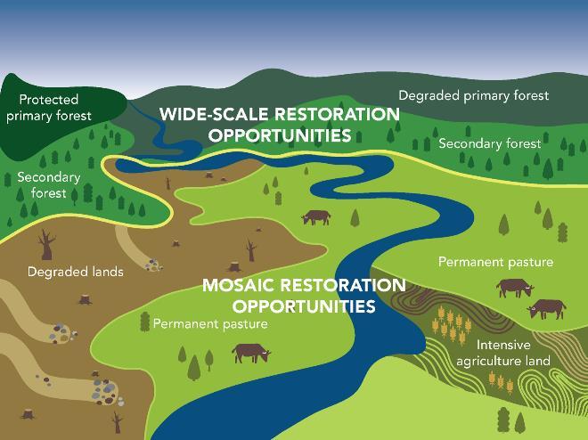 African Resilient Landscapes Initiative Concept Note Background The challenges and opportunities of managing the land and water resources of Africa are intrinsically tied to the development
