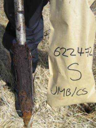 Soil sample collection Use a