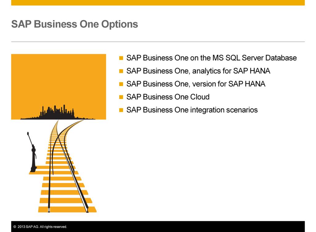 There are several different options available for running SAP Business One for your business: You can run SAP Business One on SQL Server Database.