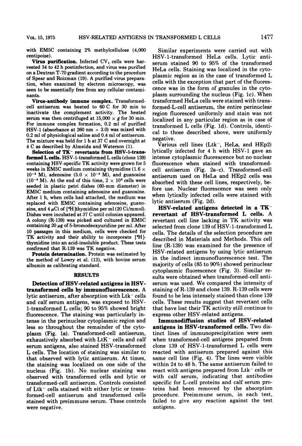 VOL. 15, 1975 HSV-RELATED ANTIGENS IN TRANSFORMED L CELLS 1477 with EM5C containing 2% methylcellulose (4,000 centipoise). Virus purification.