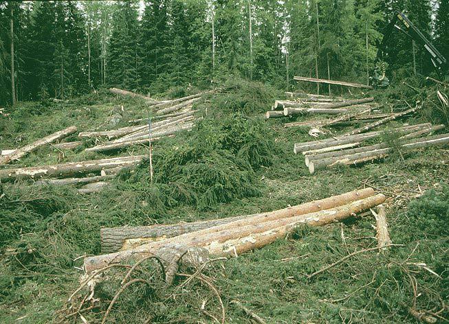 Logging method for