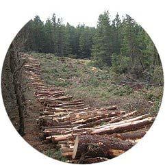 to estimate and locate - Integration with roundwood harvesting is great - Harvesting costs are
