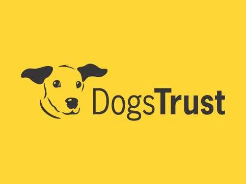 Dogs Trust International Training September