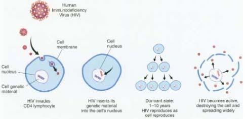 Testing for HIV+ progression to AIDS