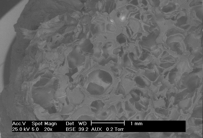 Figure 5 shows the SEM picture of the foam with PLA and 1% starch at different die temperatures. Here again, the observations are similar to pure PLA.