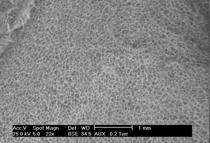 The SEM image at 107 C with PLA+1% starch is really similar to the picture with raw PLA at 111 C and illustrates this shift towards lower temperatures.