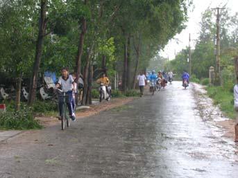 Fig. 1 Improvement of Local Living Conditions (%) 68 in Hue Province Fig. 2 Road No.