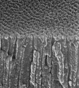 1465 lithium hydroxide solution. Although no SEM image of this is shown here, a small amount of platelet-like hydroxide was precipitated at the upper middle part of the film in this stage.