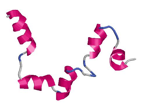 Protein folding Proteins can fold from an extended chain into a compact globular structure (some