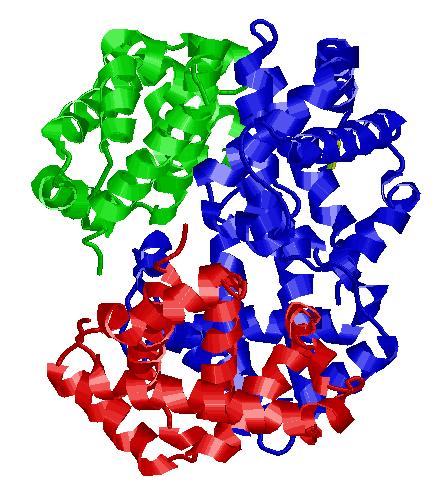 fold of the protein Quaternary structure:
