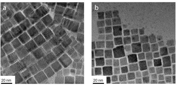 TEM images of CsPbX 3 NCs before and after anion exchange All TEM images of CsPbX 3 NCs were collected using a FEI Tecnai G2 F20 ST FE-TEM microscope operated at 4100 kv. Figure S2.
