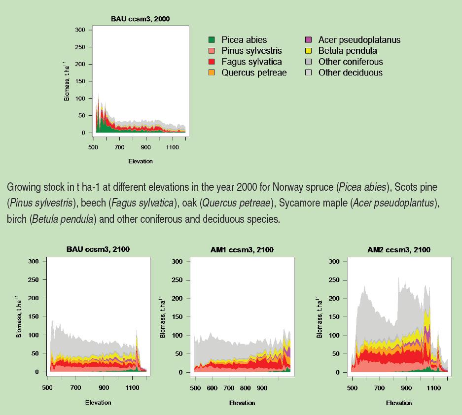 Both adaptive management scenarios will produce higher timber volumes and higher biodiversity than BAU management.
