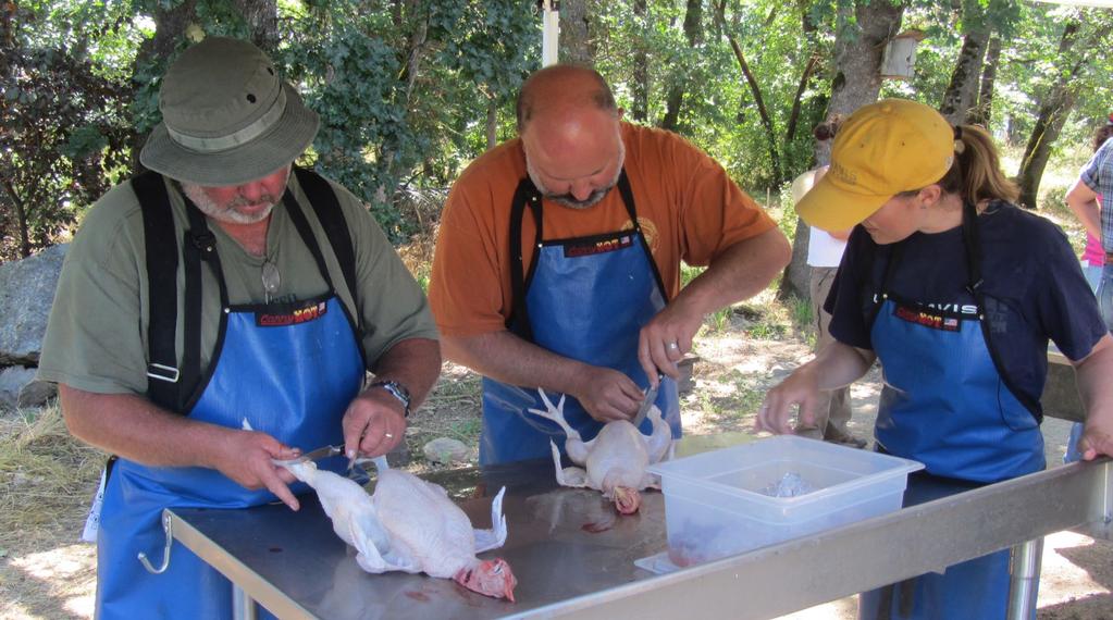 Workshop participants learn safe handling skills for processing pasture-raised broilers.