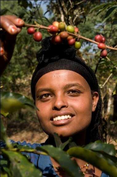 Case Study: Boosting Coffee Incomes for East African Smallholder Farmers Context Market for high-quality specialty coffee displays fairly consistent and strong growth East Africa s topography and