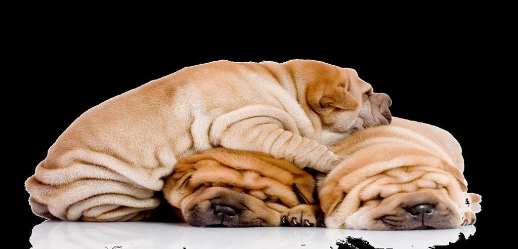 3 But you want to be careful not to prompt churn Let sleeping dogs lie Some customers are more at risk than others Source: Source: http://www.