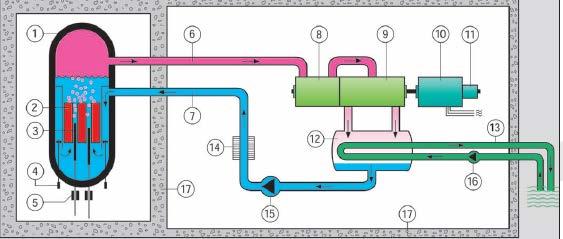 Flow Diagram of a BWR 1: RPV 2: Fuel elements 3: control rods 4: circulation pumps 5:control rod motors 6:fresh steam 7:feed water 8: high pressure turbine