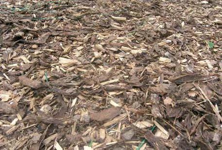 Tonis Valing Resource availability Biomass resources comprise those based on agriculture or forestry, and other sources derived from agro- and wood industries, waste sources from construction and