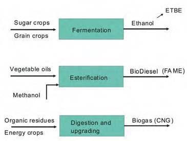 thermochemical systems. Figure 2.4 summarises the main biomass conversion processes.
