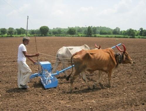 in 2013-14. Bed formation & direct sowing by onion seed planter Irrigation Management: Conventionally, farmers used flood irrigation for onion cultivation. This method required large volume of water.