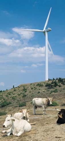 few megawatts up to the largest so far - 300 MW in the western United States. The variability of the wind has produced far fewer problems for electricity grid management than sceptics had anticipated.
