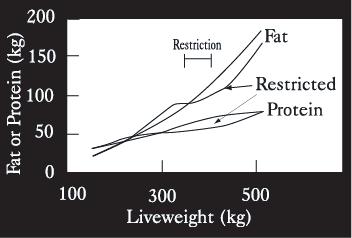 Figure 3a-2. The pattern of fat and protein deposition in early life restriction of feed, followed by unrestricted good quality feed. Figure 3a-3.