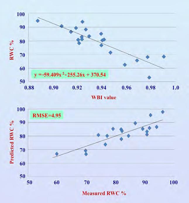 under control and water-deficit stress were used to develop prediction equations for RWC. Water Band Index (WBI) showed highest R 2 value (0.75; P 0.01).
