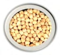 Green seeded chickpeas are in great demand in urban areas for culinary and table purposes.