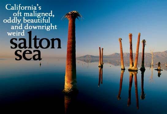 the Salton Sea is the latest