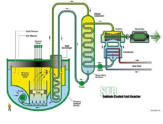 Sodium Cooled Fast Reactor Outlet temp of 550oC Options are Intermediate size (150 to500mwe) supported by fuel cycle based upon non-aqueous reprocessing