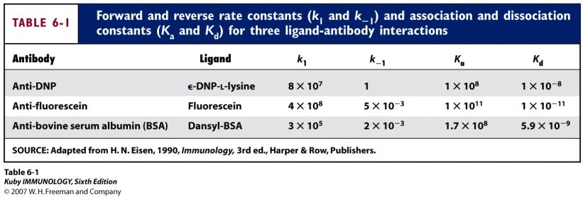 Data from equilibrium dialysis can be analyzed using Scatchard Plot: r= bound ligand / total antibody c= free ligand n= number of binding sites per antibody molecule Slope = -Ka X-intercept = n Note