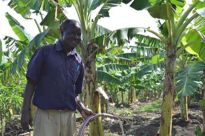 James Macklago farms a one-acre plot in Homa Bay, his main crop is banana, but he also grows some papaya and maize. For years James relied on rainfall or a petrol pump to irrigate his crops.